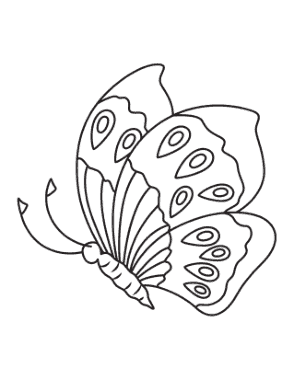 Free Download PDF Books, Butterfly Eye Spots Side View Coloring Template