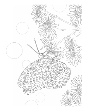 Free Download PDF Books, Butterfly Feeding From Flower Coloring Template