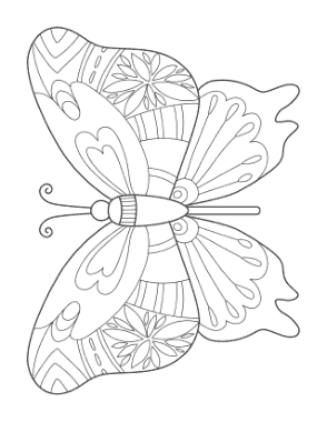 Free Download PDF Books, Butterfly Patterned Wings Spread Coloring Template