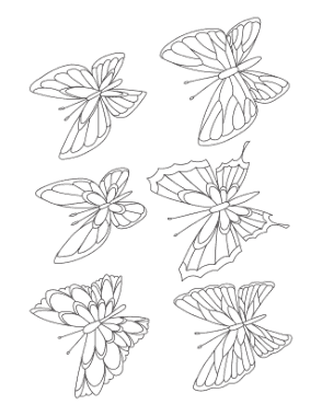 Free Download PDF Books, Butterfly Set 6 Coloring Template