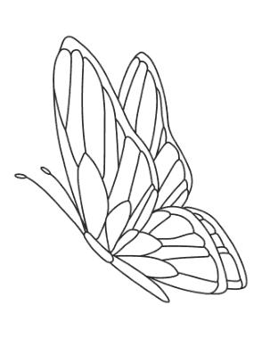 Free Download PDF Books, Butterfly Side Patterned Coloring Template