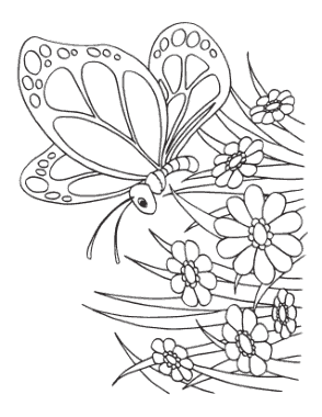 Free Download PDF Books, Butterfly Simple Flowers Preschoolers Coloring Template