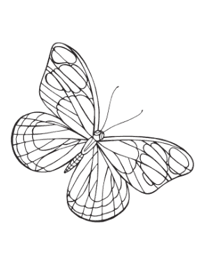 Free Download PDF Books, Butterfly Simple Outline Wing Veins Coloring Template