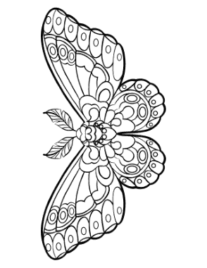 Free Download PDF Books, Butterfly Stylized Wing Pattern Feathered Antennae Coloring Template