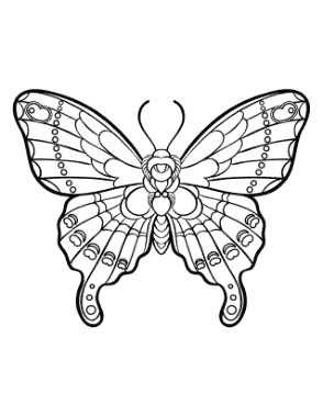 Free Download PDF Books, Butterfly Sylized Intricate Design Coloring Template