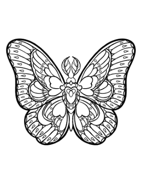 Free Download PDF Books, Butterfly Sylized Patterned Wings Feather Antennae Coloring Template