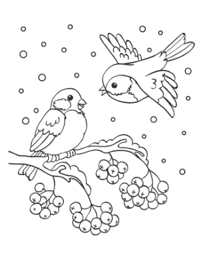 Free Download PDF Books, Winter Birds Snow Branch Berries Coloring Templat