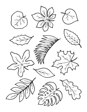 Free Download PDF Books, Leaves To Color Autumn and Fall Coloring Template