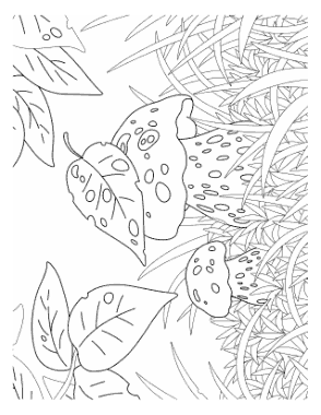 Free Download PDF Books, Mushrooms In Long Grass Autumn and Fall Coloring Template