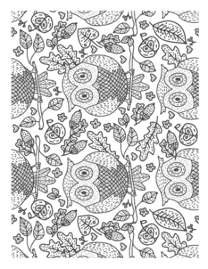 Free Download PDF Books, Owls Doodle For Adults Autumn and Fall Coloring Template