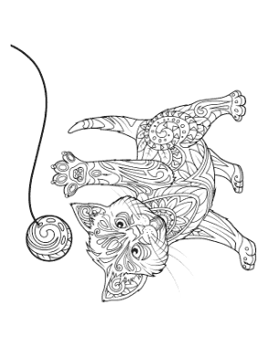 Free Download PDF Books, Kitten Playing Ball Detailed Pattern Cat Coloring Template