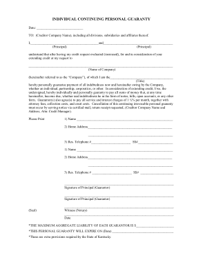 Free Download PDF Books, Individual Continuing Personal Guarantee Form Template