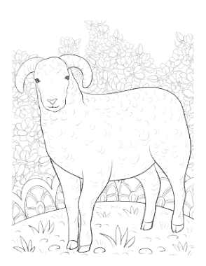Free Download PDF Books, Detailed Lamb Drawing Spring Coloring Template