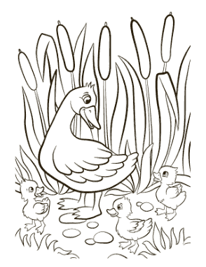 Free Download PDF Books, Mother Duck Ducklings Reeds Spring Coloring Template