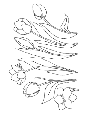 Free Download PDF Books, Tulip Series Spring Coloring Template