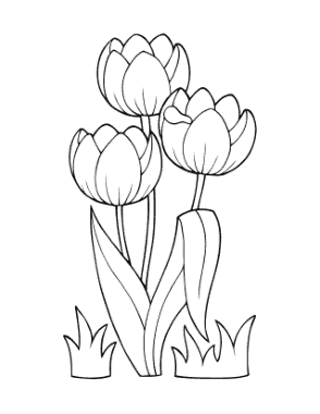 Free Download PDF Books, Tulips Spring Coloring Template