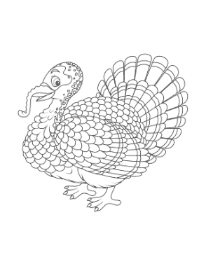 Free Download PDF Books, Turkey Adult Feathers Coloring Template