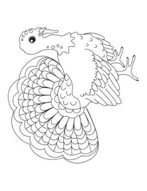 Free Download PDF Books, Turkey With Fanned Feathers Coloring Template