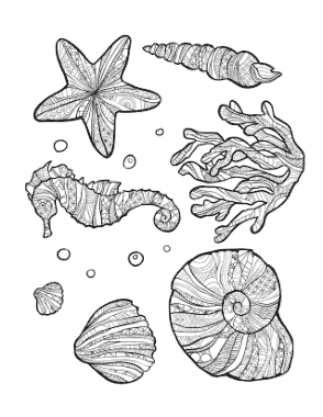 Free Download PDF Books, Sea Shell Doodle Summer Coloring Template