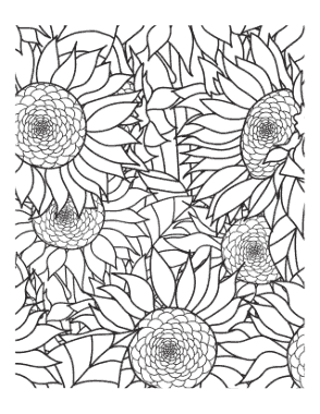 Free Download PDF Books, Sunflowers Doodle To Color Summer Coloring Template