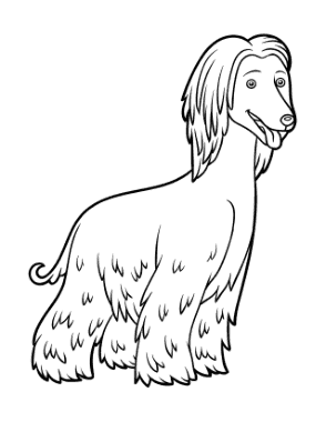 Free Download PDF Books, Afghan Hound Outline Dog Coloring Template
