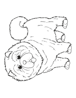 Free Download PDF Books, Chow Chow Outline Dog Coloring Template