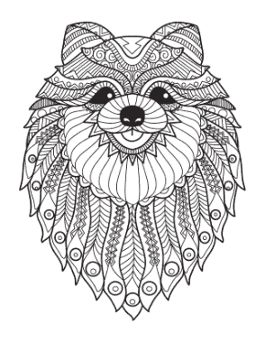 Free Download PDF Books, Detailed Pattern Pomeranian For Adults Dog Coloring Template