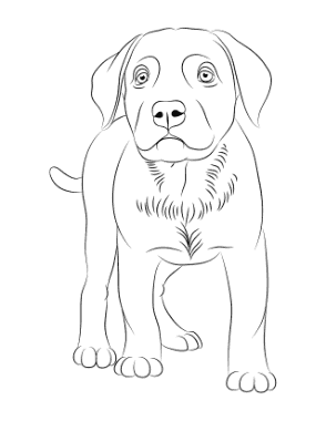 Free Download PDF Books, Labrador Outline Dog Coloring Template