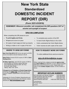 Free Download PDF Books, Domestic Incident Report Template