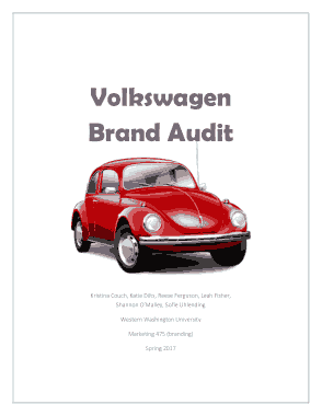 Free Download PDF Books, Volkswagen Brand Auit Report Template