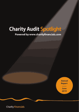 Free Download PDF Books, Charity Audit Spotlight Report Template