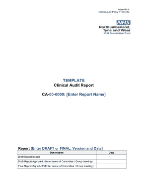 Free Download PDF Books, Blank Clinical Audit Report Template
