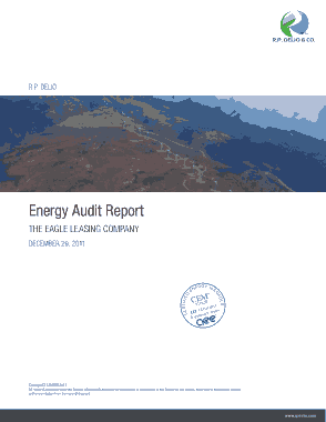 Free Download PDF Books, Company Energy Audit Report Template