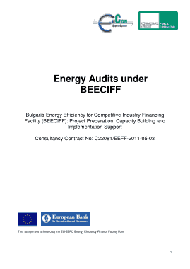 Free Download PDF Books, Energy Efficiency Audit Report Template