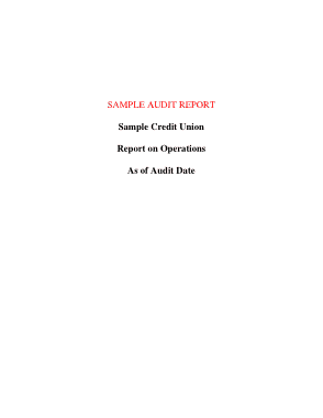 Free Download PDF Books, Credit Union Sample Financial Audit Report Template