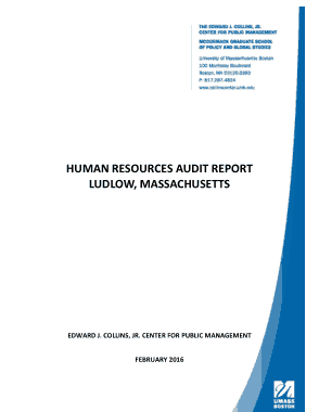 Free Download PDF Books, HR Operations and Practices Audit Report Template