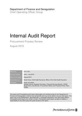 Free Download PDF Books, Internal Audit Report for Procurement Process Template