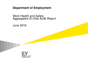 Free Download PDF Books, Work Health and Safety Aggregated on site Audit Report Template