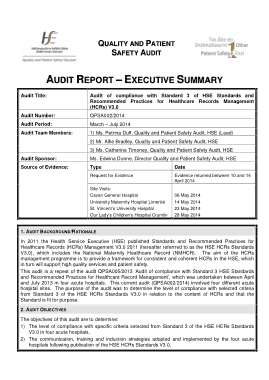Free Download PDF Books, Audit Executive Report Free Template