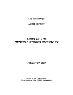Free Download PDF Books, Audit Report of the Central Stores Inventory Template