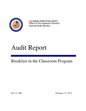 Free Download PDF Books, Audit Summary Report Template