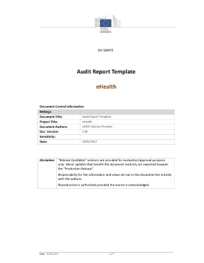 Free Download PDF Books, eHealth Audit Report Template