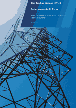 Free Download PDF Books, Internat Audit Report Sample for Gas Performance Template