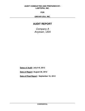 Free Download PDF Books, UNIVAR Sample Audit Report Template