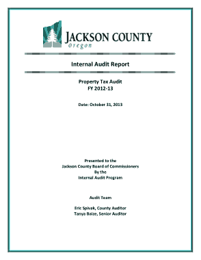 Free Download PDF Books, Internal Property Tax Audit Report Template