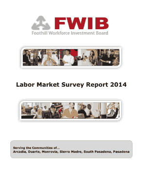 Free Download PDF Books, Labor Market Survey Report Template