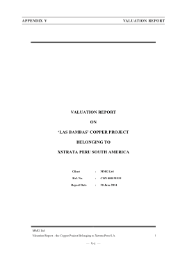 Free Download PDF Books, Business Valuation Project Report Template