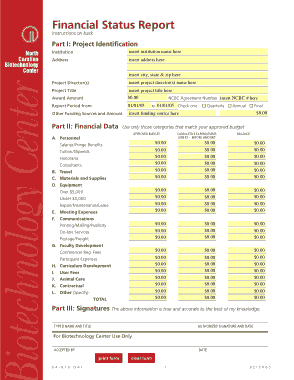 Free Download PDF Books, Financial Status Report In Pdf Template