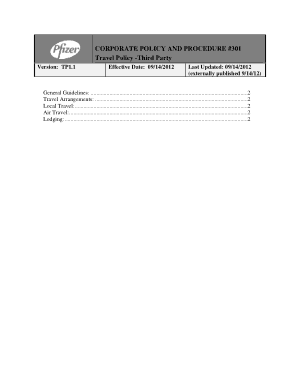 Free Download PDF Books, Consultant Expense Report Template