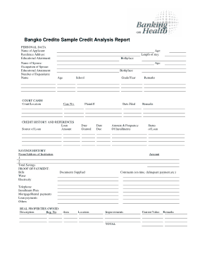 Free Download PDF Books, Sample Credit Analysis Report Format Template